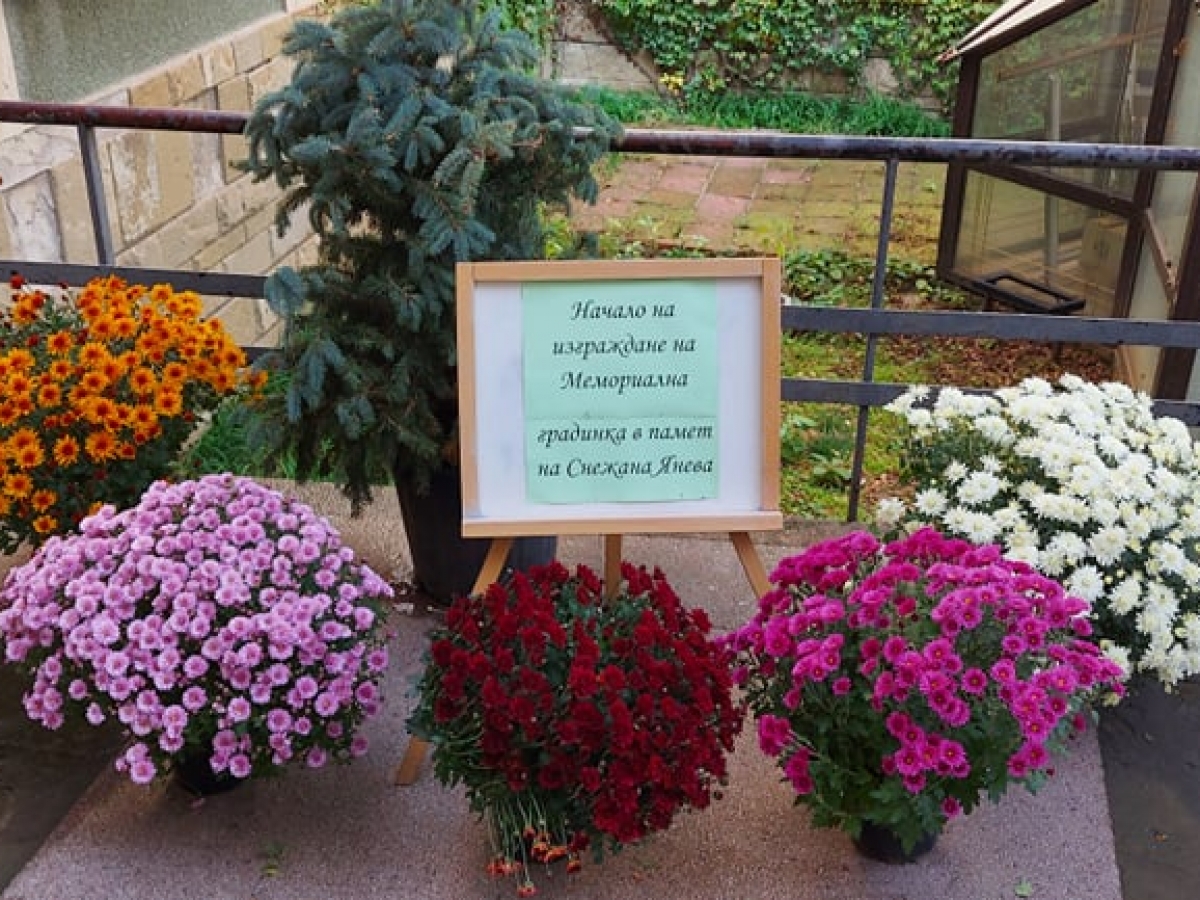 The Regional Library “Geo Milev” in Montana designed and started building a Memorial garden in memory of Snejana Ianeva
